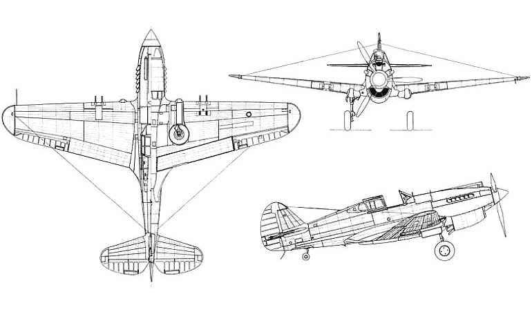 THUNDER WINGS Curtiss P-40 TP40 3D view
