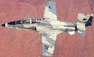 C101 image