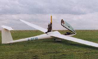 DG40 image