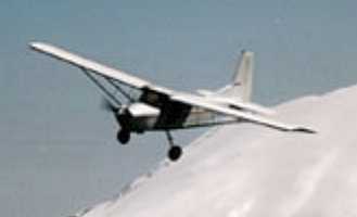 L181 image